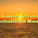 Gunk Remover Services – Is it Worthwhile the Money?