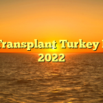 Hair Transplant Turkey Prices 2022