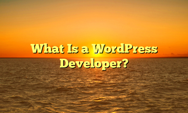 What Is a WordPress Developer?