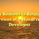 a few Reasons to Retain the services of a WordPress Developer