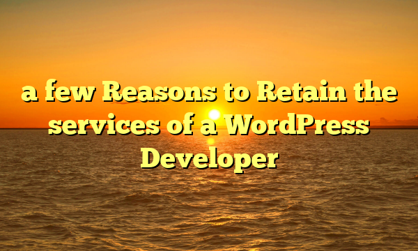 a few Reasons to Retain the services of a WordPress Developer