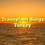 Hair Transplant Surgery in Turkey
